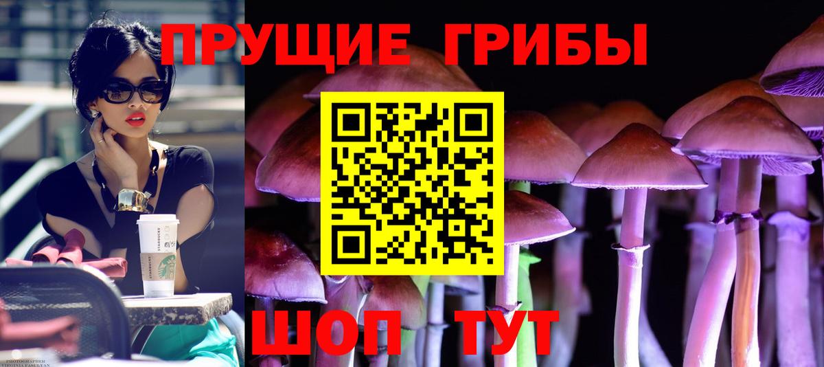 Новочеркасск  даркнет сайт  Галлюциногенные грибы ЛСД  Вход с VPN  Псилоцибиновые грибы прущие грибы 